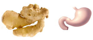 Ginger-Stomach-300x129
